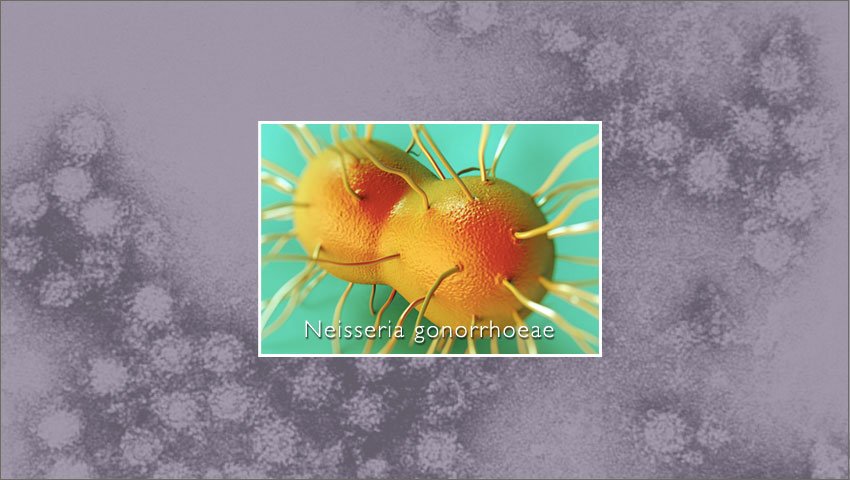 Σεξουαλικώς μεταδιδόμενα νοσήματα